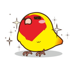 Misslovebird-Cute Lovebird sticker #3658238