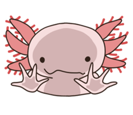 Daily life of Axolotl 2 sticker #3661271