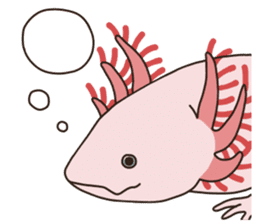 Daily life of Axolotl 2 sticker #3661285