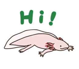 Daily life of Axolotl 2 sticker #3661287
