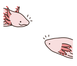 Daily life of Axolotl 2 sticker #3661297