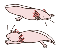 Daily life of Axolotl 2 sticker #3661298