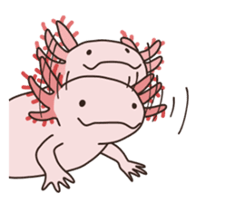 Daily life of Axolotl 2 sticker #3661307