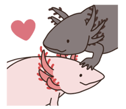 Daily life of Axolotl 2 sticker #3661308