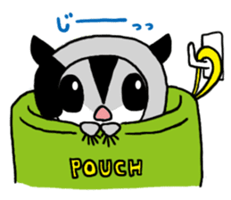 Sugar Glider Sticker sticker #3663432