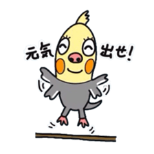 Okame-kun is the Cockatiel. sticker #3666843