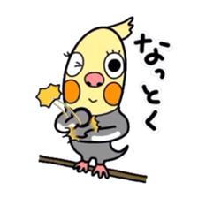 Okame-kun is the Cockatiel. sticker #3666849