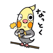 Okame-kun is the Cockatiel. sticker #3666849
