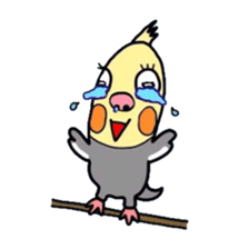 Okame-kun is the Cockatiel. sticker #3666854
