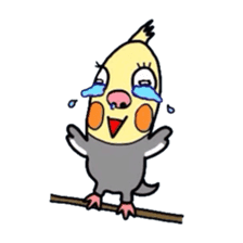 Okame-kun is the Cockatiel. sticker #3666854
