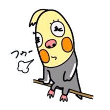 Okame-kun is the Cockatiel. sticker #3666857
