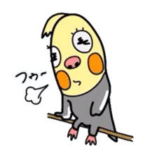 Okame-kun is the Cockatiel. sticker #3666857