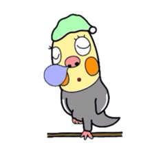 Okame-kun is the Cockatiel. sticker #3666864