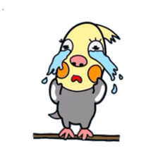 Okame-kun is the Cockatiel. sticker #3666866