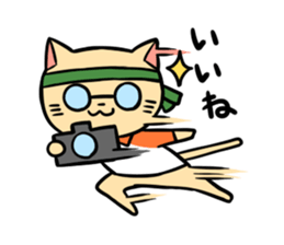 Cats and train sticker #3667660