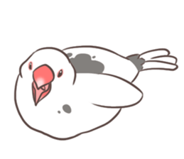 Hakubuncyou sticker #3667960