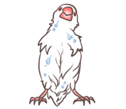 Hakubuncyou sticker #3667974