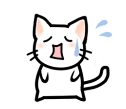 Unfortunate cat sticker #3671652