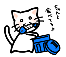 Unfortunate cat sticker #3671660