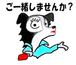 border collie Miss.Swing sticker #3672154