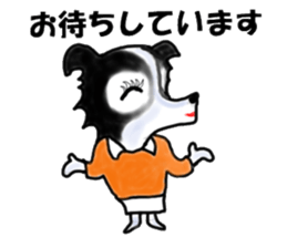 border collie Miss.Swing sticker #3672155