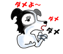 border collie Miss.Swing sticker #3672160
