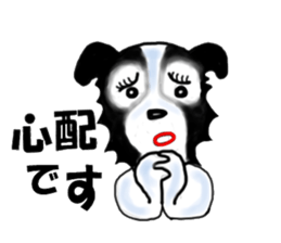border collie Miss.Swing sticker #3672162