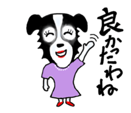 border collie Miss.Swing sticker #3672166