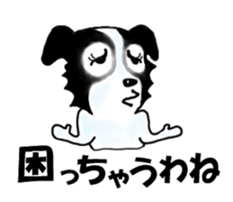 border collie Miss.Swing sticker #3672167