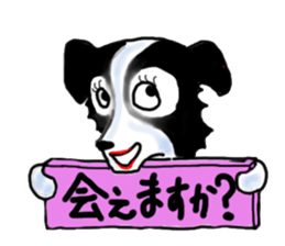 border collie Miss.Swing sticker #3672168