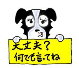 border collie Miss.Swing sticker #3672169