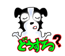 border collie Miss.Swing sticker #3672172