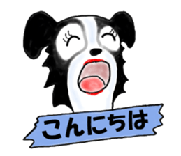 border collie Miss.Swing sticker #3672174