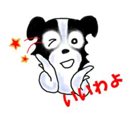 border collie Miss.Swing sticker #3672175