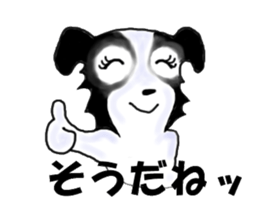 border collie Miss.Swing sticker #3672177