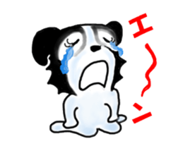 border collie Miss.Swing sticker #3672185