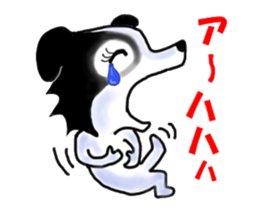 border collie Miss.Swing sticker #3672186