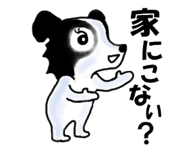 border collie Miss.Swing sticker #3672189