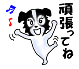 border collie Miss.Swing sticker #3672190
