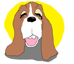 Very cute sisters of Basset Hound. sticker #3674512