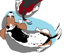 Very cute sisters of Basset Hound. sticker #3674526