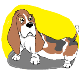 Very cute sisters of Basset Hound. sticker #3674537