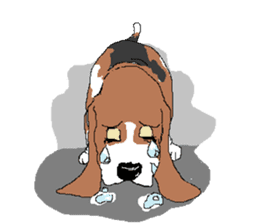Very cute sisters of Basset Hound. sticker #3674539