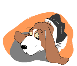 Very cute sisters of Basset Hound. sticker #3674546