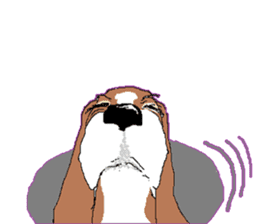 Very cute sisters of Basset Hound. sticker #3674548