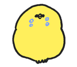 Soft Chick02 sticker #3676596