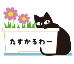 Speaking Cats sticker #3676730