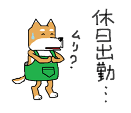 store manager's ShibaKOSAKU sticker #3678728