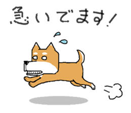 store manager's ShibaKOSAKU sticker #3678741