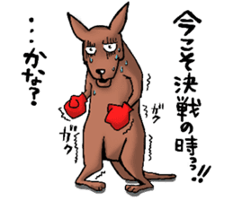 kangaroo? sticker #3679594